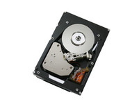 146 GB 15K 3.5-Inch SAS Hot-Swap hard disk